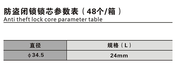 防盗闭锁锁芯C.JPG